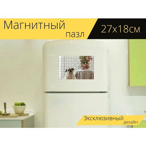 Магнитный пазл Мопс, собака, рождество на холодильник 27 x 18 см. магнитный пазл черный мопс мопс собака на холодильник 27 x 18 см