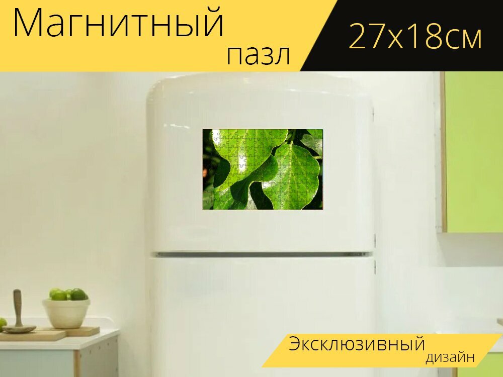 Магнитный пазл "Плющ, листья плюща, листья" на холодильник 27 x 18 см.