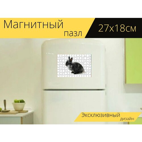Магнитный пазл Заяц, кролик, черный на холодильник 27 x 18 см. магнитный пазл кролик заяц белые зайцы на холодильник 27 x 18 см