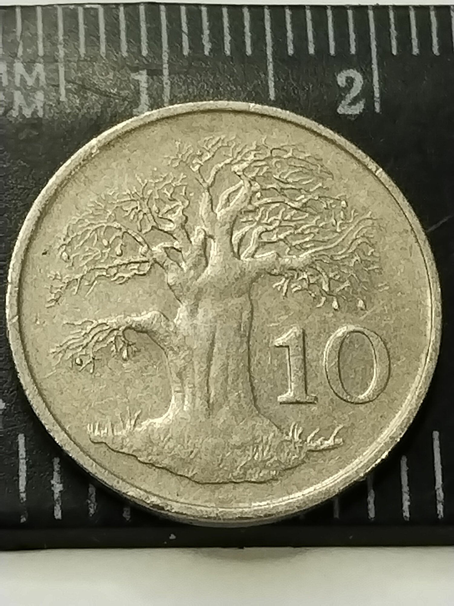 Зимбабве 10 центов 1997. Дерево Баобаб. XF