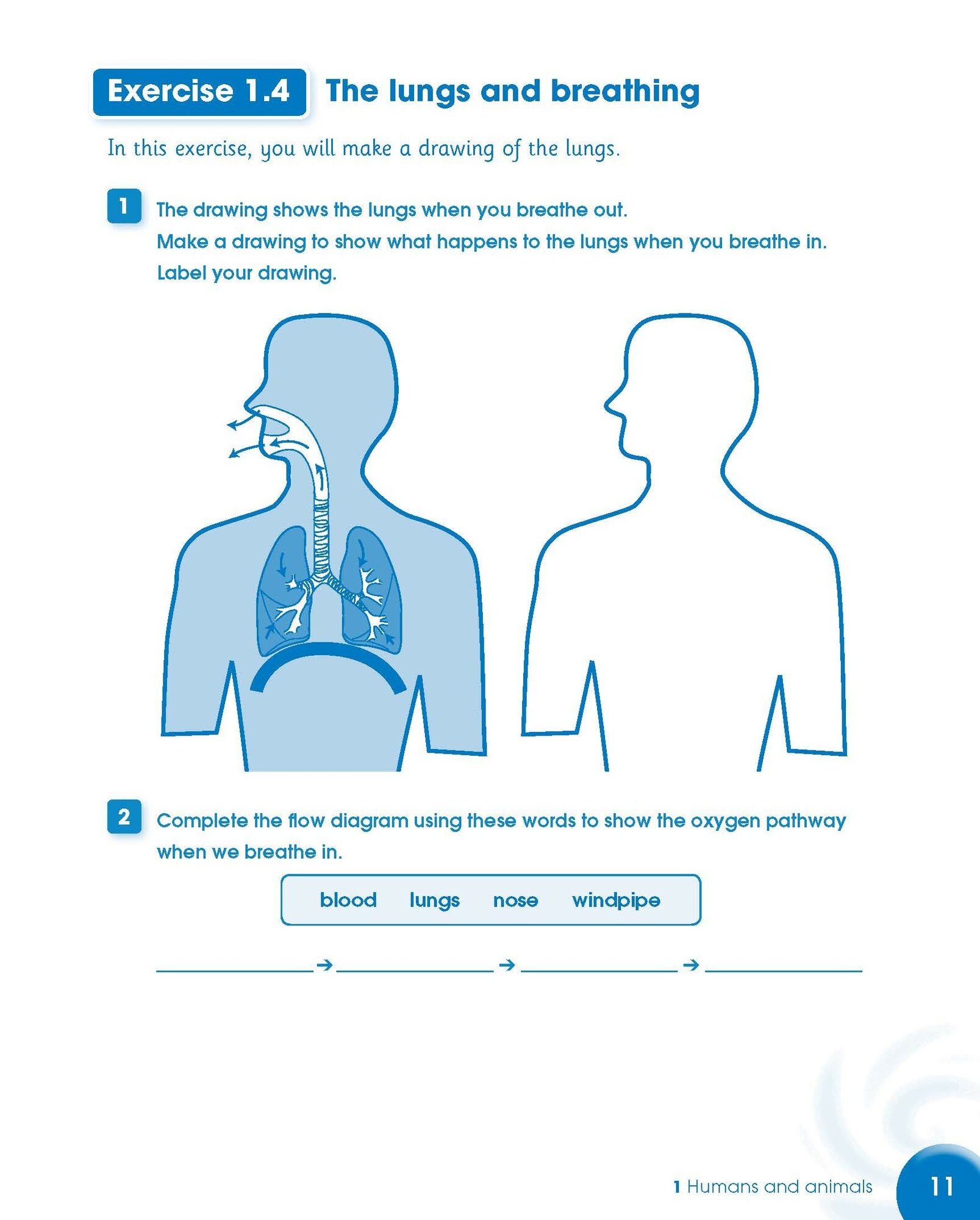 Cambridge Primary Science. Stage 6. Activity Book - фото №6