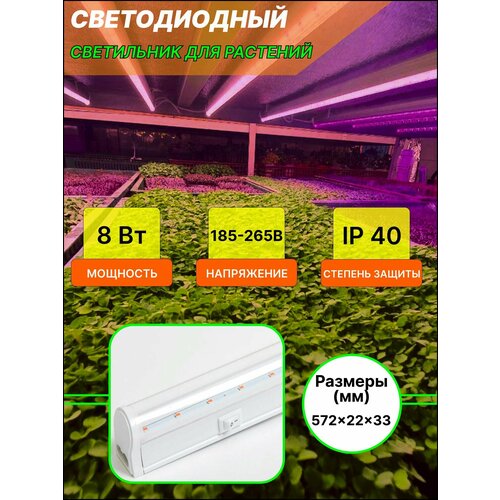Светодиодный светильник для растений, 60 см, 8 Вт, полный спектр general фитосветильник мощность 14 вт длина 900 мм свет розовый полный спектр питание 220в степень пылевлагозащиты ip40