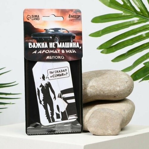 Ароматизатор в авто Ты сказал семья аромат яблоко 432₽
