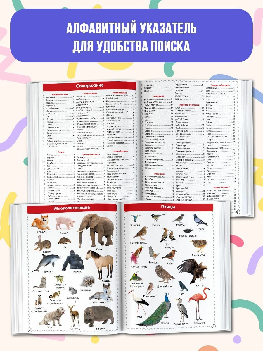 Первая иллюстрированная энциклопедия для детей - фото №4