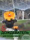 оранжевый