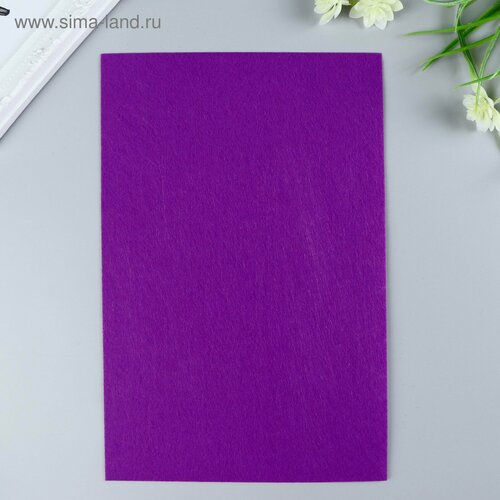 Фетр жесткий 1 мм 20х30 см фиолетовый 10шт 601₽