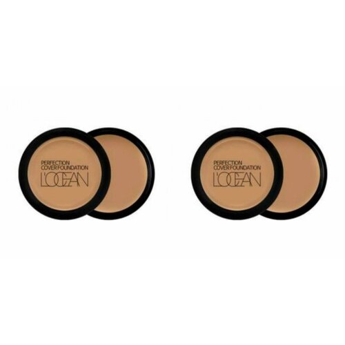Консилер Locean Perfection Cover Foundation 43 Mud brown 16 г 2 шт 1926₽