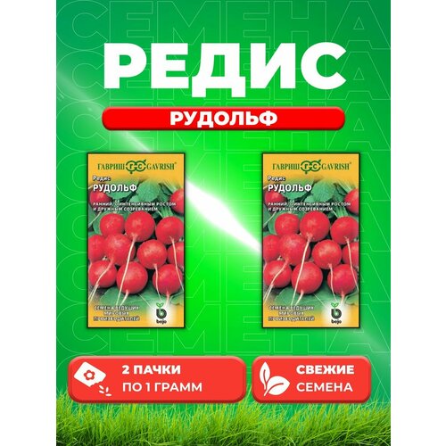 Редис Рудольф 1,0 г (Голландия) (2уп)