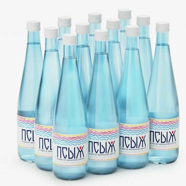 Вода минеральная газированная лечебно-столовая Псыж, 12 шт по 0,5 л, стекло