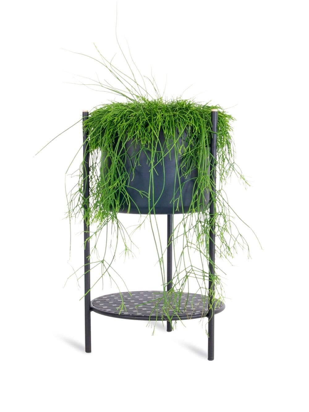 фото XLBoom - Горшки и садовые аксессуары - Унисекс - 100% железо - Один размер - Черный