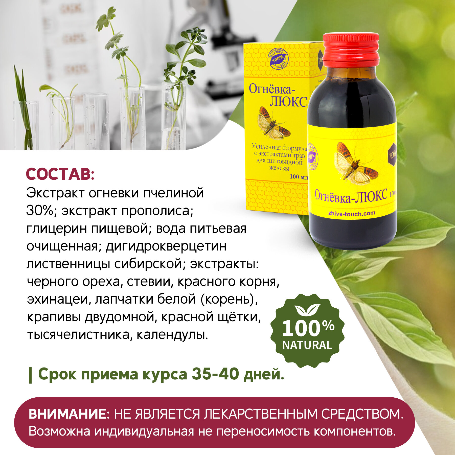 Изображение Настойка Огневка - люкс комплекс для щитовидной железы, витамины для эндокринной системы, дефицит йода, 100 мл.