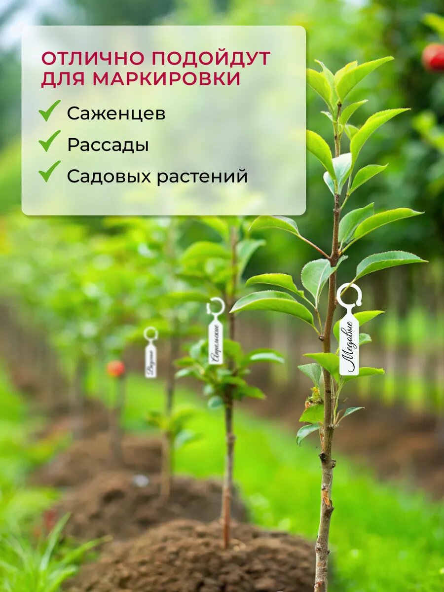 Таблички Садовые Бирки таблички для растений многоразовые садовые с маркером подвесные пластик 100 штук