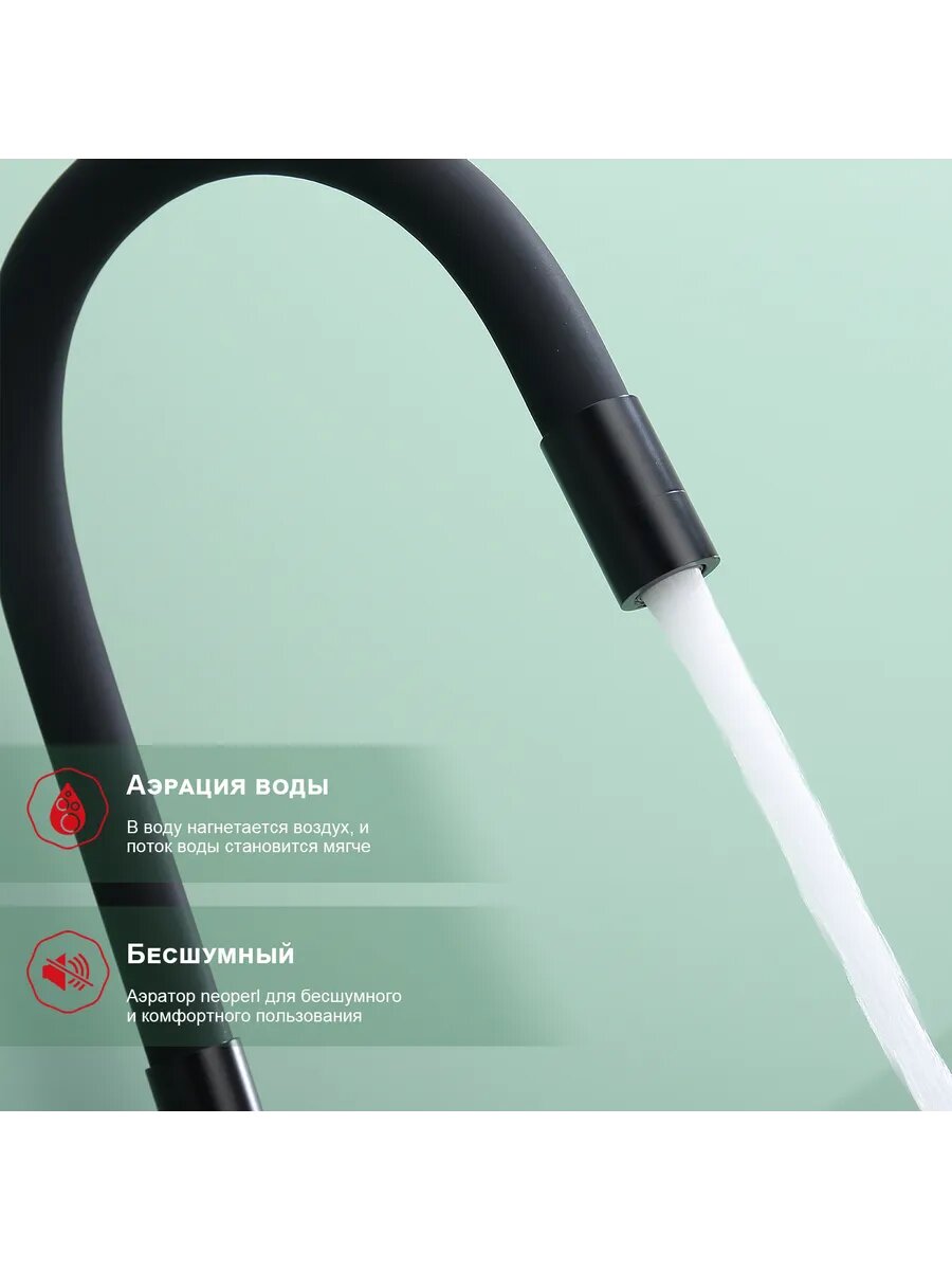 R81.64.06 Смеситель для кухни с фильтром — фото 1