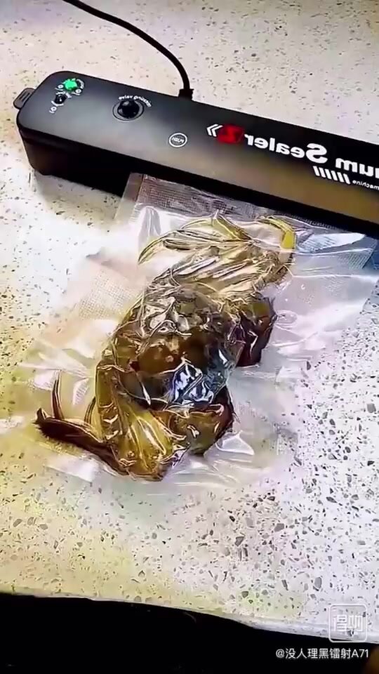 Вакуумный упаковщик VSX Vacuum Sealer X Запайщик пакетов улучшенная версия, Вакууматор для герметизации, + 10 пакетов — фото 1