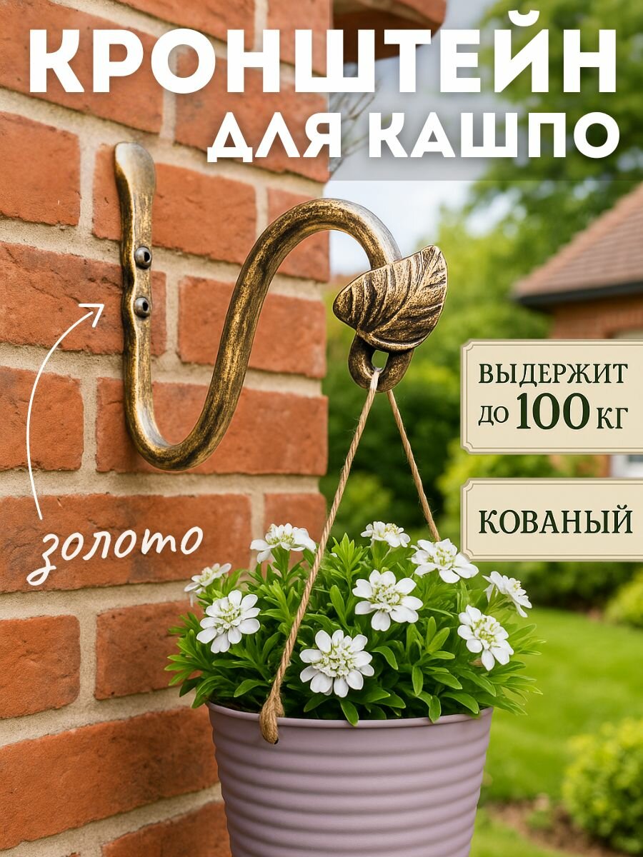 Кронштейн для кашпо "Росток" цвет: золотой/держатель для сада и дома