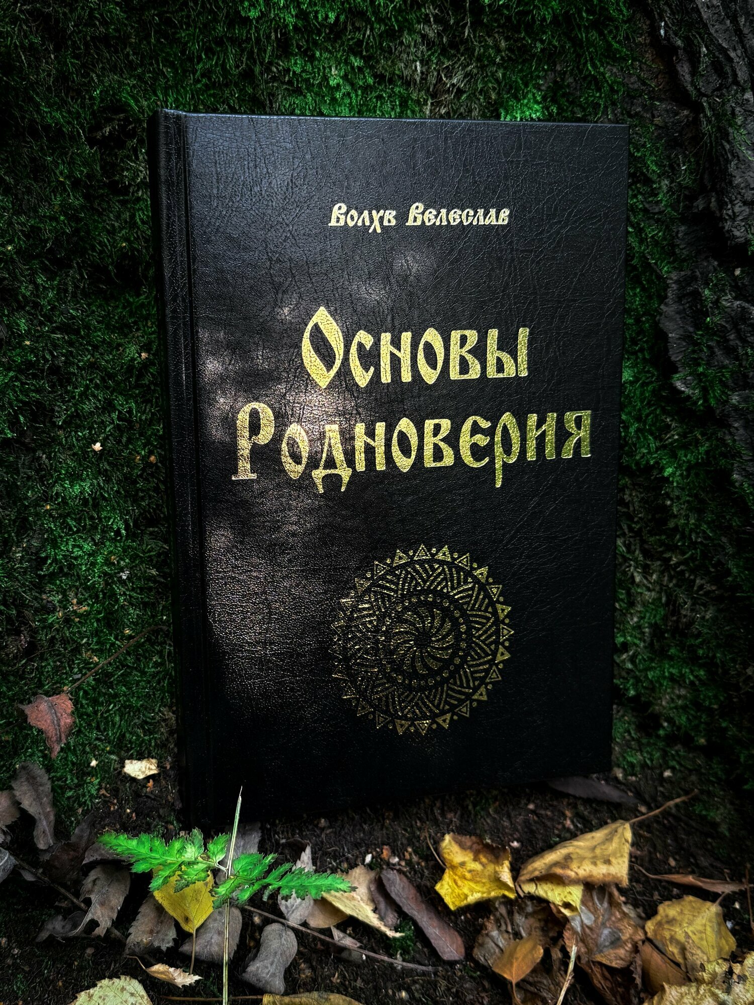Основы Родноверия. Обрядник. Кологод