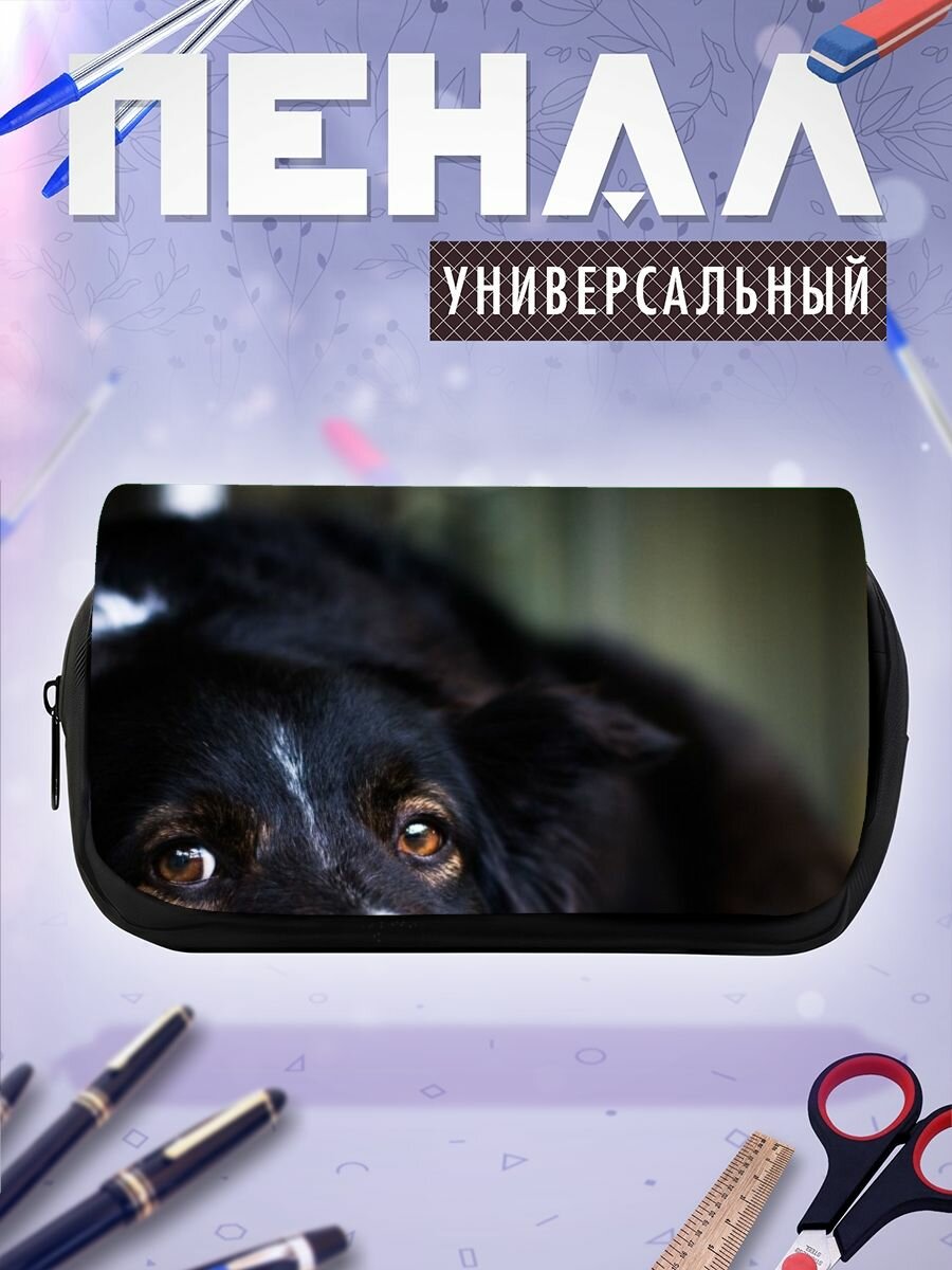Школьный пенал бордер колли щенок