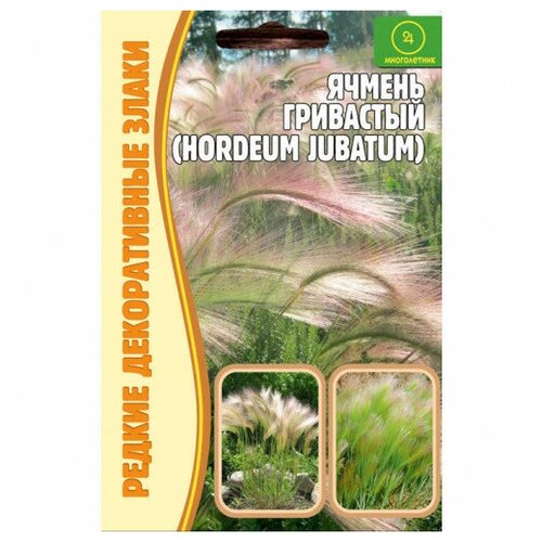 Семена Ячмень гривастый (Hordeum jubatum) (0,1 г) саженец ячмень гривастый