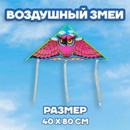 Воздушный змей Сова, с леской