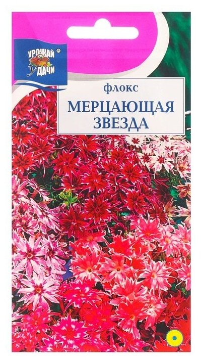 Семена цветов "Урожай удачи" Флокс "Мерцающая звезда", 0,1 г./В упаковке шт: 2