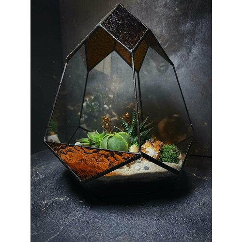 Флорариум от Flolefor с теневыносливыми суккулентами 