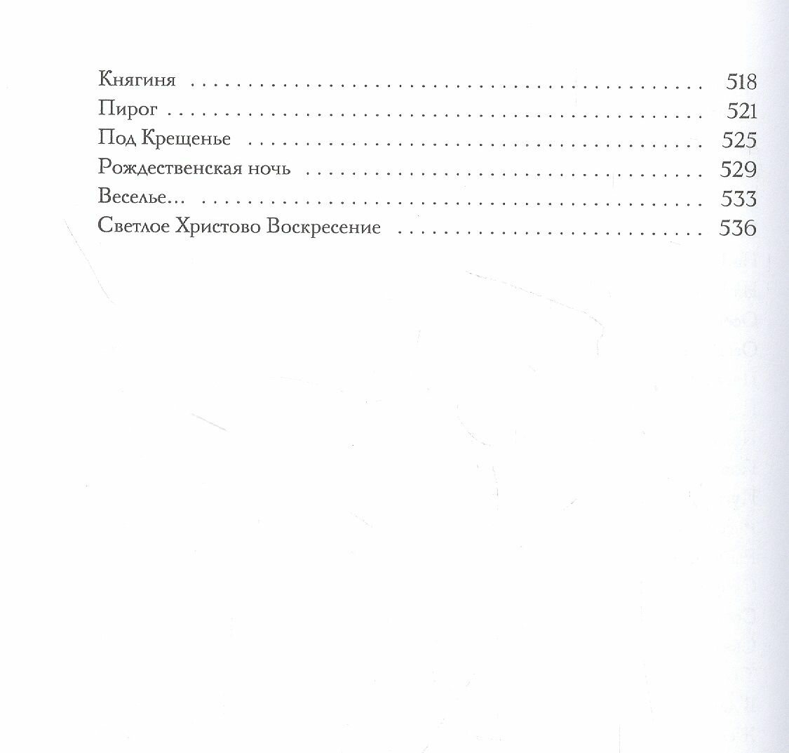 Моя жизнь (Коровин Константин Алексеевич) - фото №15