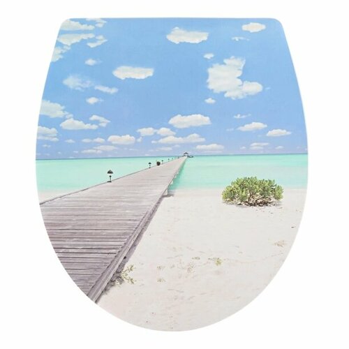 Сиденье для унитаза FLUMEN Мальдивы быстросъемное с микролифтом 5289₽