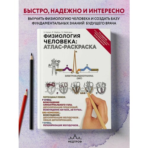 Медпроф / Физиология человека: атлас-раскраска анатомия и физиология атлас раскраска кэпит у мейси р мейсами э