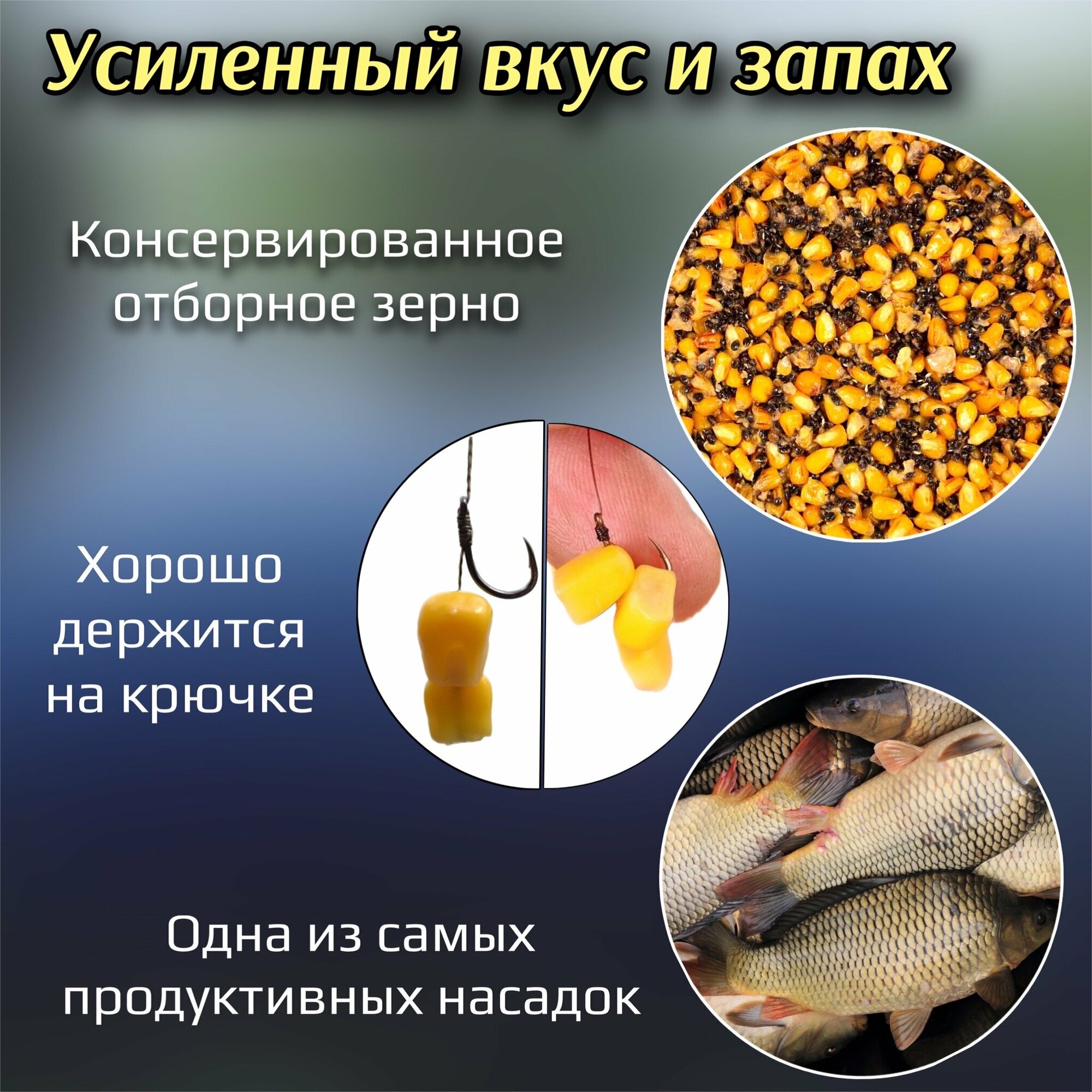 Насадка рыболовная / Наживка для рыбалки на крючок ( Кукуруза + конопля консервированная в ароматизаторе ) Приманка для карпа карася плотвы на леща / добавка бисквит — фото 1