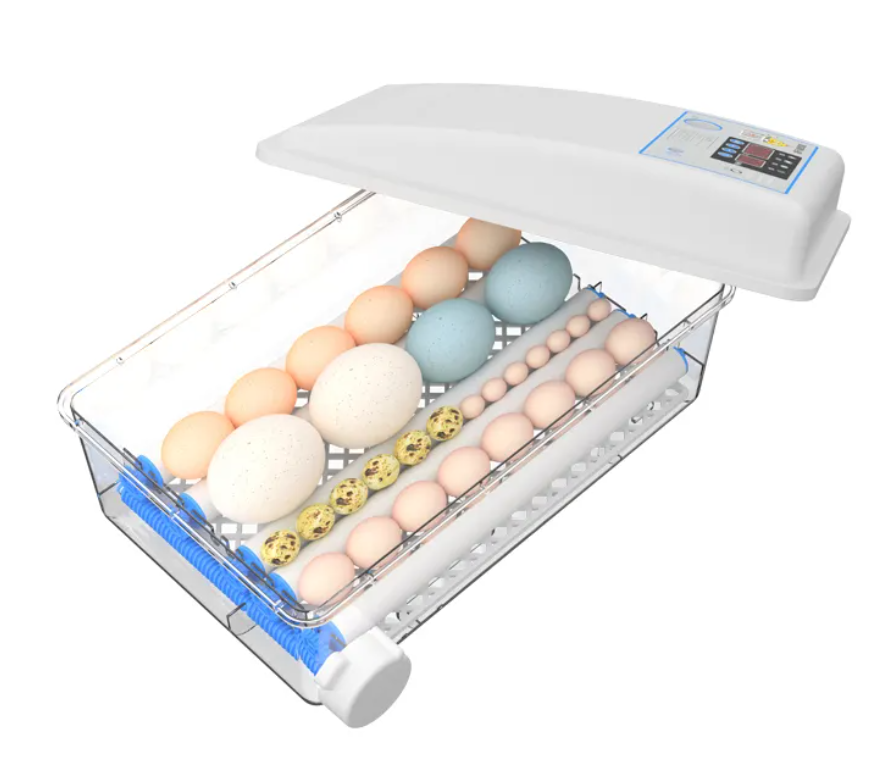 Инкубатор для яиц, куриный, автоматический, домашний, на 24 яиц (30 яиц-при меньшем калибре). Уровни/ этажи -съемные. - фотография № 7