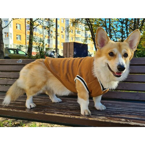 Одежда для собак, свитер 