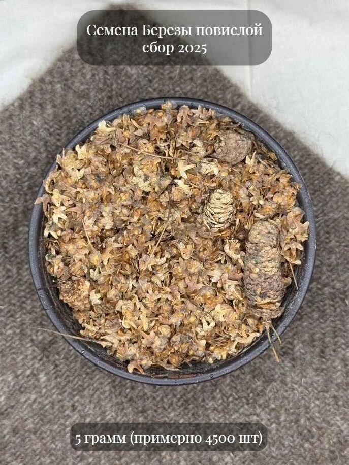 Семена Березы повислой 5 грамм (примерно 4500 шт)