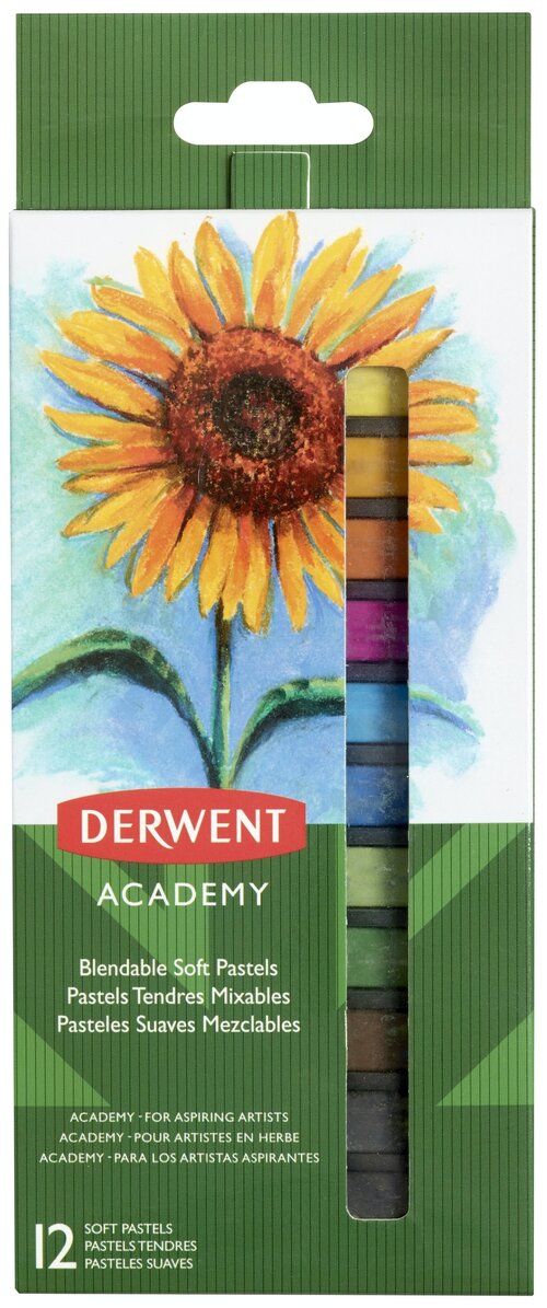 Derwent Пастель Academy 12 цветов (2302397)