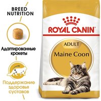 Сухой корм для кошек Royal Canin Maine Coon 31 Adult 13 кг