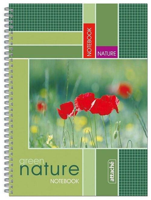 Attache Тетрадь общая Nature А4, клетка, 60 л., зеленый