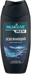 Гель для душа 3 в 1 Palmolive Men Северный океан, 250 мл