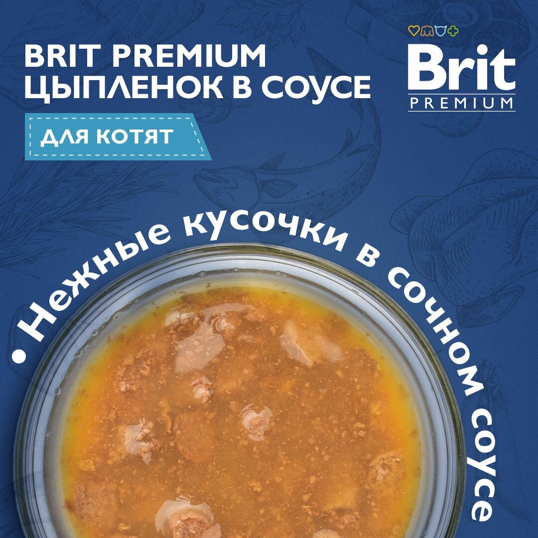 BRIT PREMIUM, влажный корм для кошек. Пауч для котят, Цыпленок в соусе, 85г - фотография № 5