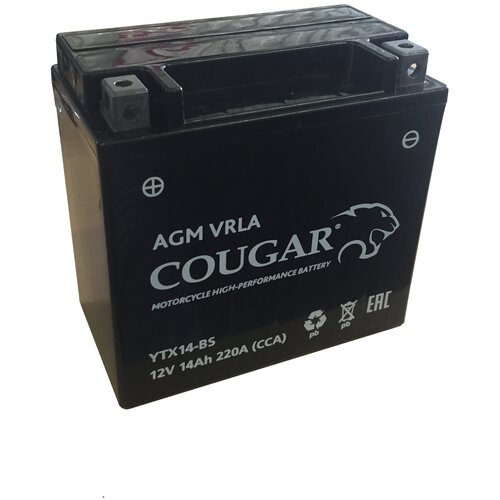 Аккумулятор мотоциклетный COUGAR AGM VRLA 12 V 14 Ah YTX14-BS 149x87x144