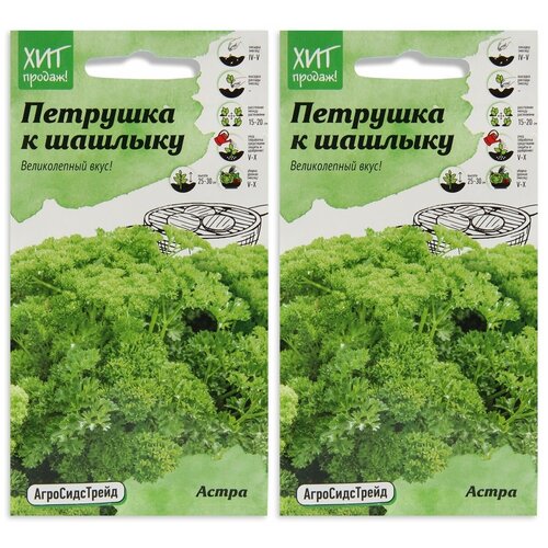 Набор семян Петрушка листовая Астра к шашлыку 2 г АСТ - 2 уп., семена петрушки для проращивания, для посадки и посева для балкона дома сада огорода