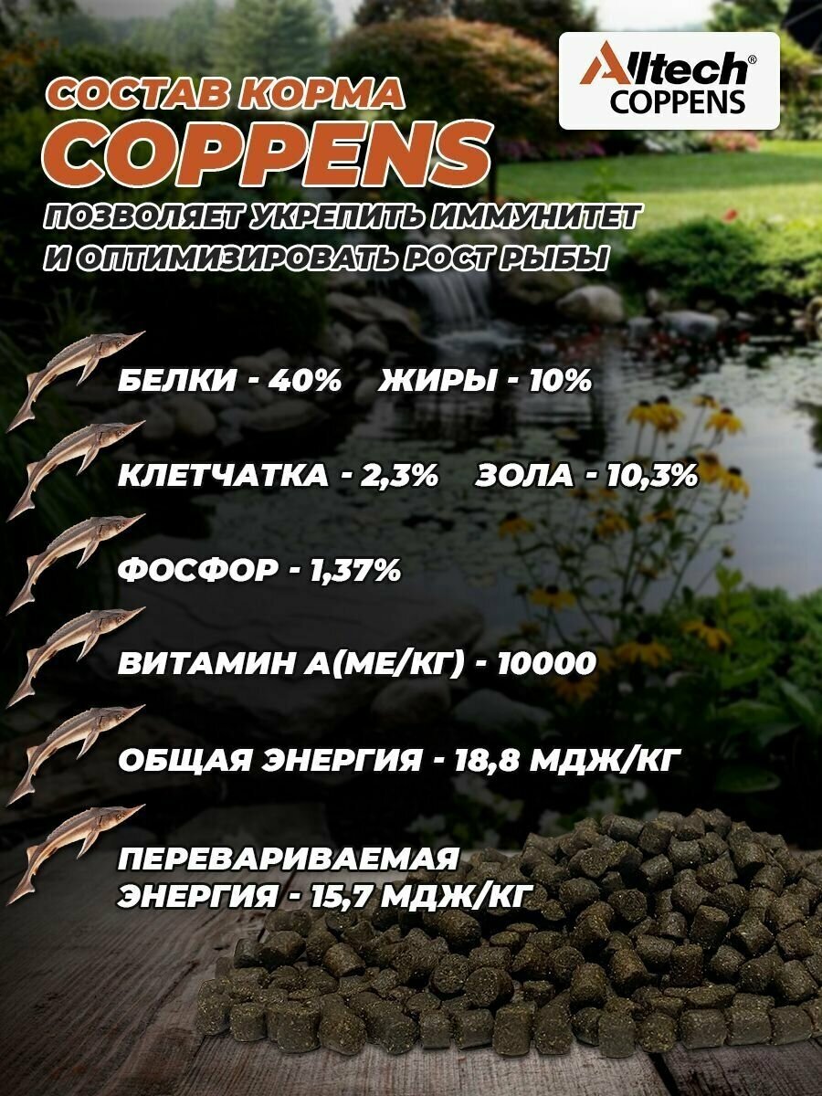 Корм для всех видов осетровых рыб Coppens Intensiv, фракция - 4.5 мм, 1 кг. - фотография № 5