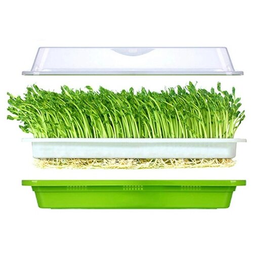 Проращиватель для семян и микрозелени с сеткой-вкладыш 