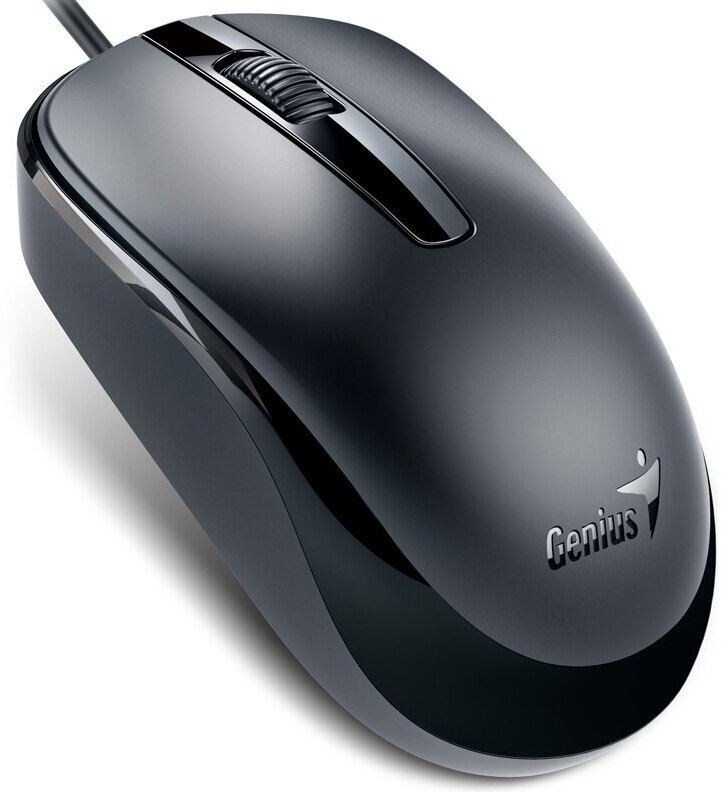 Мышь Genius DX-120 USB черный (31010010400)