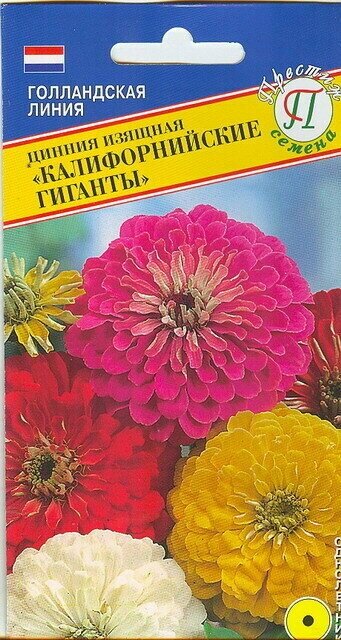 Цинния изящная Калифорнийские гиганты. Семена. Высокорослый до 80 см сорт с крупными махровыми яркими соцветиями диаметром до 12 см.