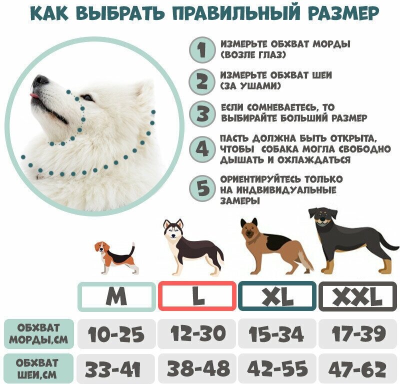 Халти, Недоуздок для собак с поводком-перестежкой, L, обхват шеи 38-48 см, чёрный