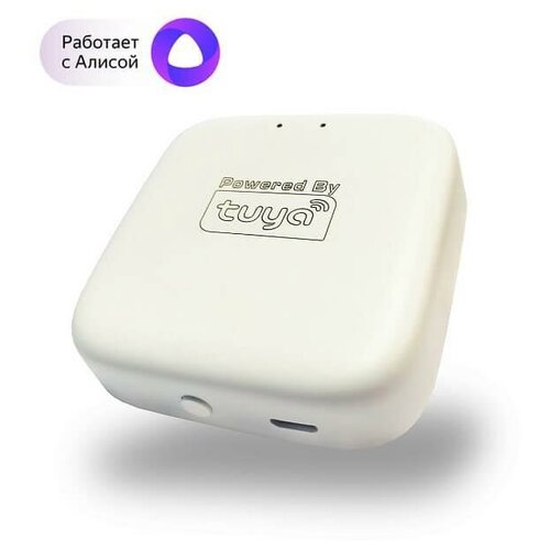 WIFI Converter Smart, белый (Denkirs, DK7400-WF)