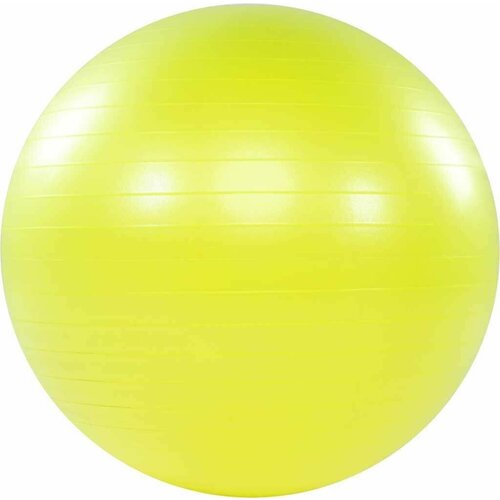 Мяч гимнастический ACTIWELL d65см, с насосом, Арт. IR97403