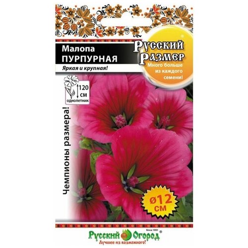 Семена. Цветы. Малопа Русский размер, пурпурная (100 штук) цветы малопа русский огород пурпурная