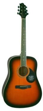 Акустическая гитара Greg bennett GD100S VS