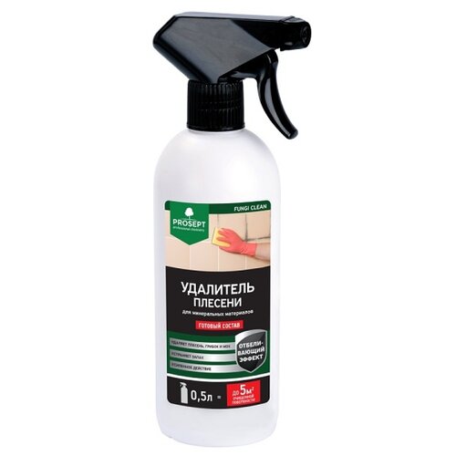 Удалитель плесени PROSEPT FUNGI CLEAN, концентрат, 1.0 л