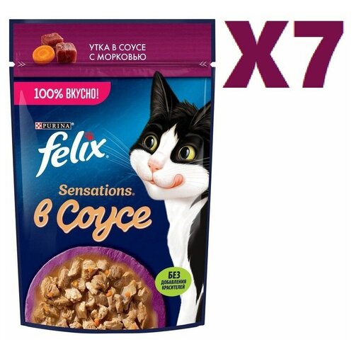 Влажный корм для кошек Felix с уткой в соусе 85г